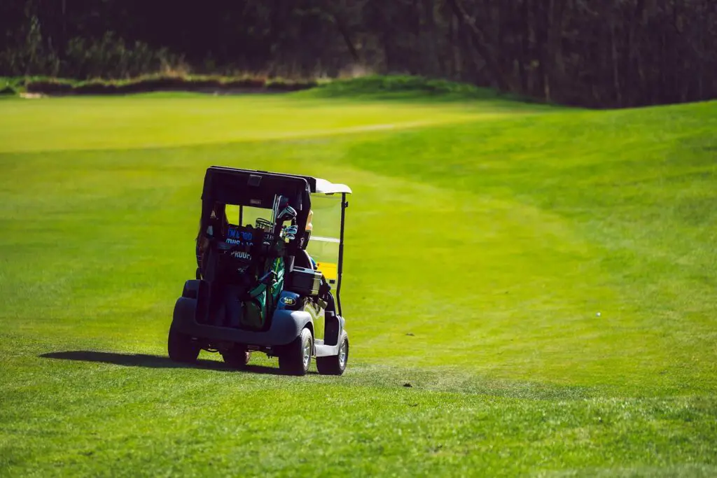 best golf cart locking device